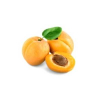 apricot_oil