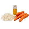 Carrot Seed Oil