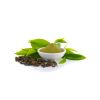 Green Tea Leaf Extract