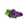 Resveratrol